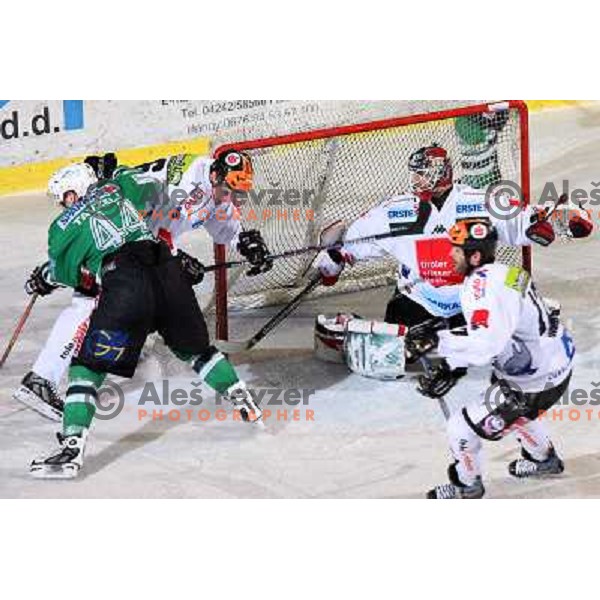 Tavzelj and goalie Kotyk at ice-hockey game ZM Olimpija- TWK Innsbruck in Ebel league, played in Ljubljana, Slovenia 3.2.2008.ZM Olimpija won the game 5;2. Photo by Ales Fevzer 