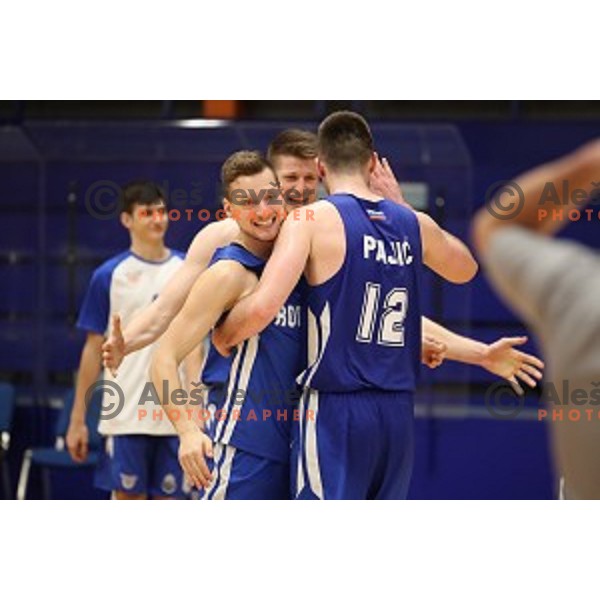 in action during Nova KBM League basketball match between Helios Suns and Rogaska in Domzale Sports Hall, Slovenia on February 3, 2019