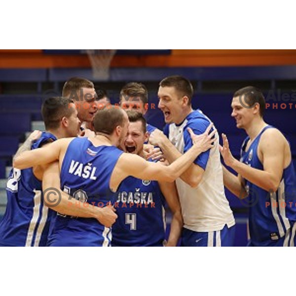 in action during Nova KBM League basketball match between Helios Suns and Rogaska in Domzale Sports Hall, Slovenia on February 3, 2019