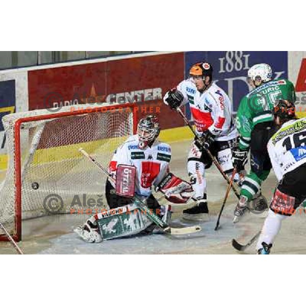 Muric scores goal for ZM Olimpija at ice-hockey game ZM Olimpija- TWK Innsbruck in Ebel league, played in Ljubljana, Slovenia 3.2.2008.ZM Olimpija won the game 5;2. Photo by Ales Fevzer 