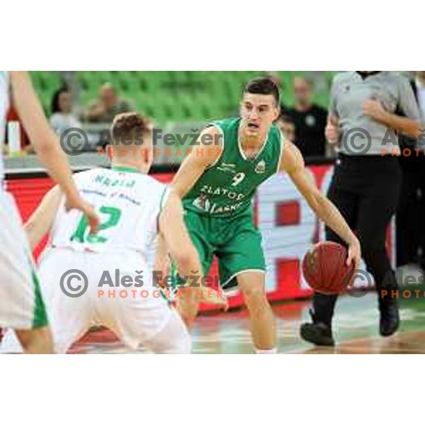 action during Nova KBM league basketball match between Petrol Olimpija and Zlatorog Lasko in Stozice, Ljubljana, Slovenia on February 4, 2019