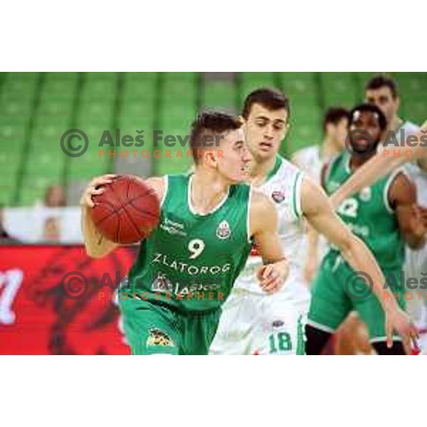 action during Nova KBM league basketball match between Petrol Olimpija and Zlatorog Lasko in Stozice, Ljubljana, Slovenia on February 4, 2019