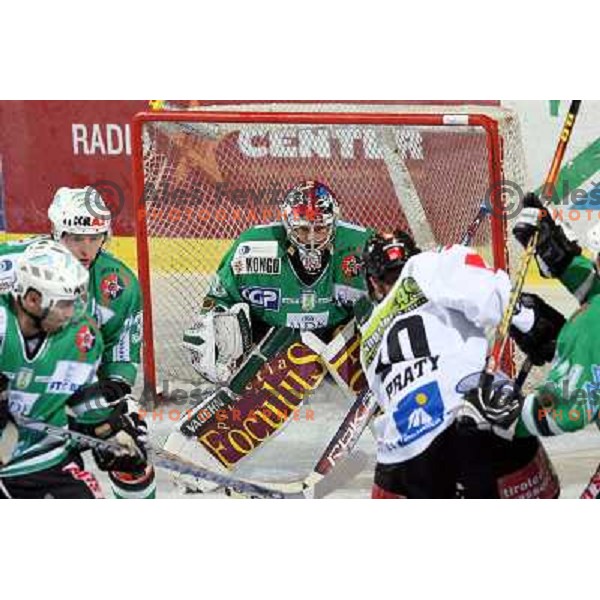 Westlund at ice-hockey game ZM Olimpija- TWK Innsbruck in Ebel league, played in Ljubljana, Slovenia 3.2.2008.ZM Olimpija won the game 5;2. Photo by Ales Fevzer 