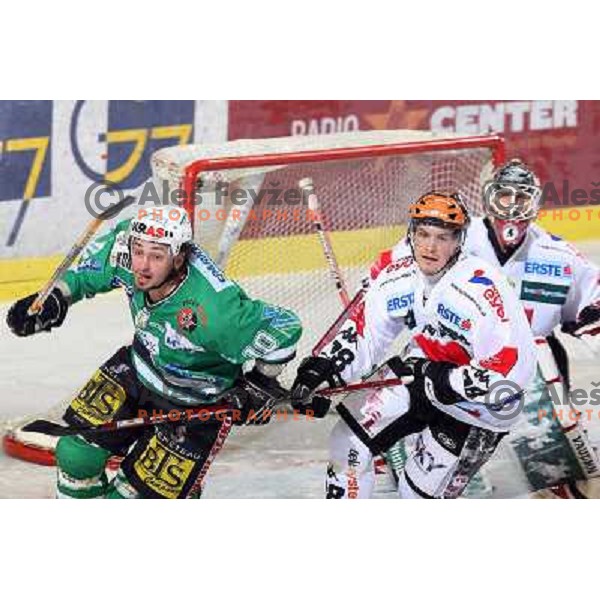 Yarema (10), Laine (28) and Kotyk at ice-hockey game ZM Olimpija- TWK Innsbruck in Ebel league, played in Ljubljana, Slovenia 3.2.2008.ZM Olimpija won the game 5;2. Photo by Ales Fevzer 