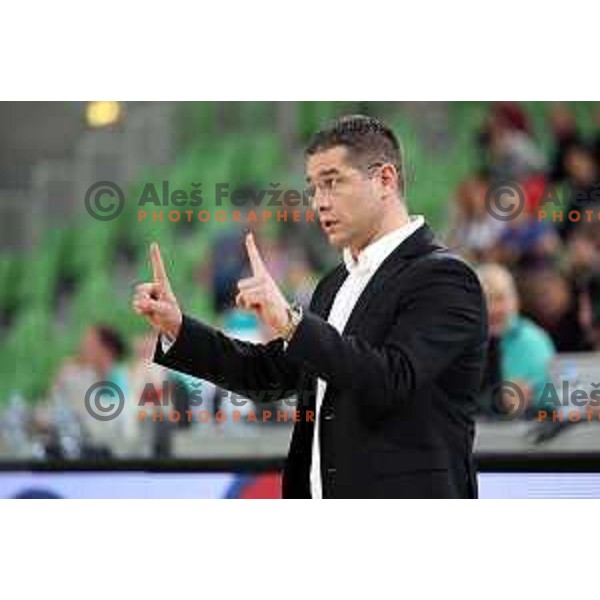 Sasa Nikitovic, head coach of Petrol Olimpija in action during FIBA Champions League basketball match between Petrol Olimpija and Besiktas Sompo Japan in Stozice Hall, Ljubljana on February 6, 2019