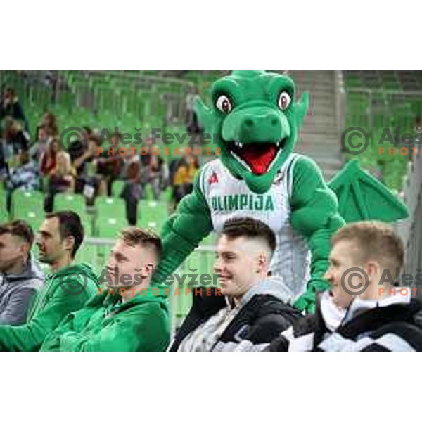 of Petrol Olimpija in action during FIBA Champions League basketball match between Petrol Olimpija and Besiktas Sompo Japan in Stozice Hall, Ljubljana on February 6, 2019