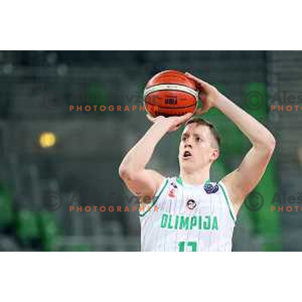 Luka Lapornik of Petrol Olimpija in action during FIBA Champions League basketball match between Petrol Olimpija and Besiktas Sompo Japan in Stozice Hall, Ljubljana on February 6, 2019