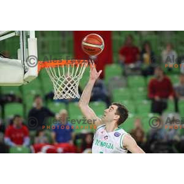 Drazen Bubnic of Petrol Olimpija in action during FIBA Champions League basketball match between Petrol Olimpija and Besiktas Sompo Japan in Stozice Hall, Ljubljana on February 6, 2019