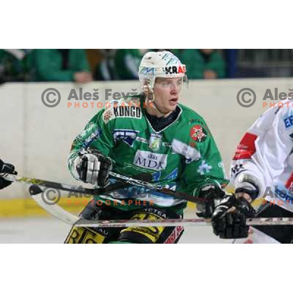 Ales Music at ice-hockey game ZM Olimpija- TWK Innsbruck in Ebel league, played in Ljubljana, Slovenia 3.2.2008.ZM Olimpija won the game 5;2. Photo by Ales Fevzer 