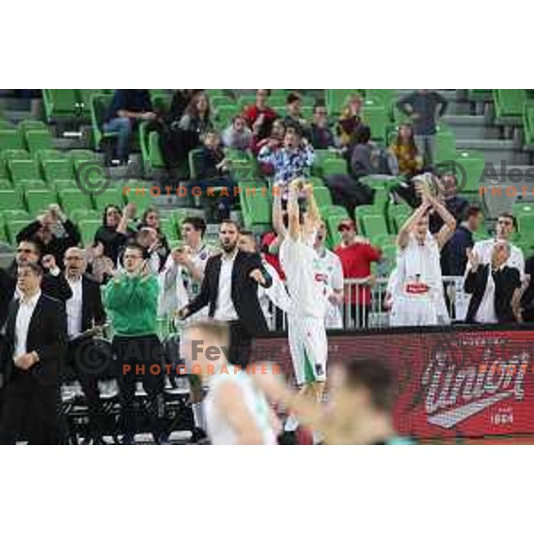 of Petrol Olimpija in action during FIBA Champions League basketball match between Petrol Olimpija and Besiktas Sompo Japan in Stozice Hall, Ljubljana on February 6, 2019