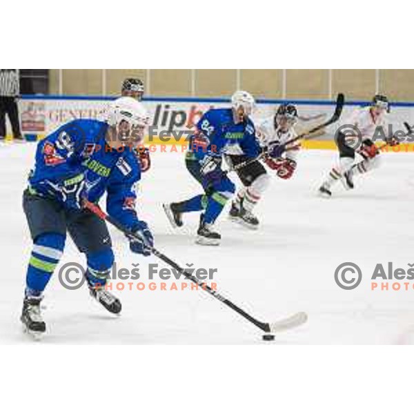 action during EIHC ice-hockey match between Slovenia and Hungary in Bled Ice Hall, Slovenia on February 7, 2019