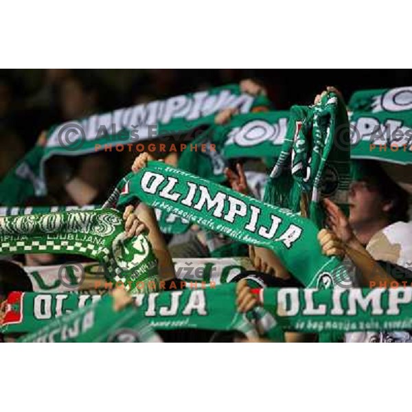 Fans at ice-hockey game ZM Olimpija- TWK Innsbruck in Ebel league, played in Ljubljana, Slovenia 3.2.2008.ZM Olimpija won the game 5;2. Photo by Ales Fevzer 