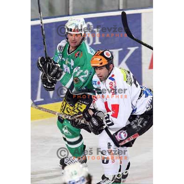 Elik (12) and Hohenberger (30) at ice-hockey game ZM Olimpija- TWK Innsbruck in Ebel league, played in Ljubljana, Slovenia 3.2.2008.ZM Olimpija won the game 5;2. Photo by Ales Fevzer 