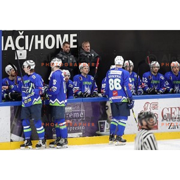 action during EIHC ice-hockey match between Slovenia and Belarus in Bled Ice Hall, Slovenia on February 9, 2019