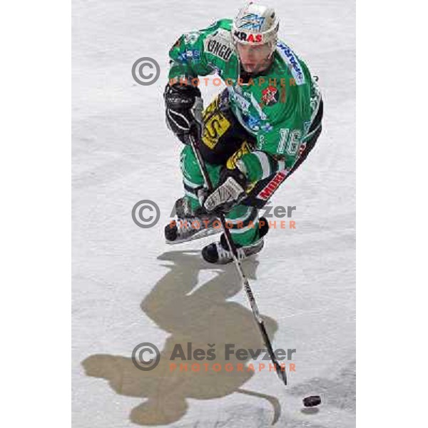 Ales Music at ice-hockey game ZM Olimpija- TWK Innsbruck in Ebel league, played in Ljubljana, Slovenia 3.2.2008.ZM Olimpija won the game 5;2. Photo by Ales Fevzer 