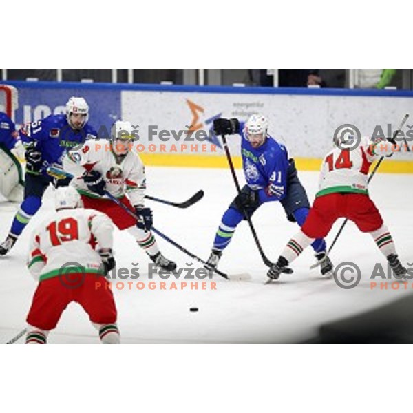 action during EIHC ice-hockey match between Slovenia and Belarus in Bled Ice Hall, Slovenia on February 9, 2019
