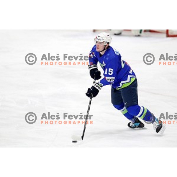 action during EIHC ice-hockey match between Slovenia and Belarus in Bled Ice Hall, Slovenia on February 9, 2019