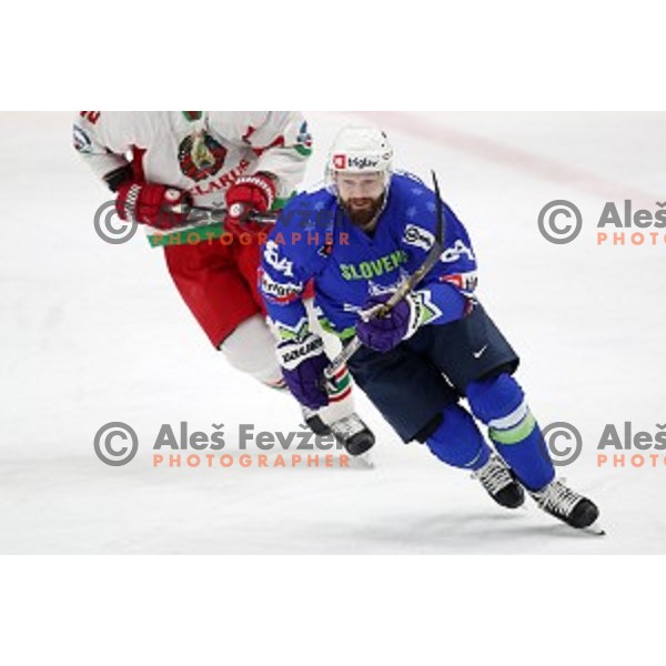 action during EIHC ice-hockey match between Slovenia and Belarus in Bled Ice Hall, Slovenia on February 9, 2019