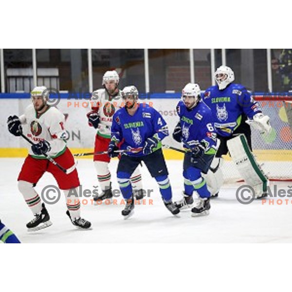 action during EIHC ice-hockey match between Slovenia and Belarus in Bled Ice Hall, Slovenia on February 9, 2019