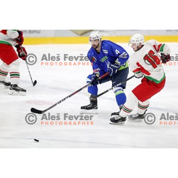 action during EIHC ice-hockey match between Slovenia and Belarus in Bled Ice Hall, Slovenia on February 9, 2019