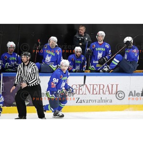 action during EIHC ice-hockey match between Slovenia and Belarus in Bled Ice Hall, Slovenia on February 9, 2019
