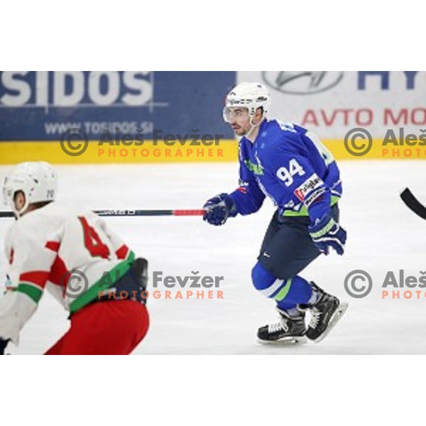 action during EIHC ice-hockey match between Slovenia and Belarus in Bled Ice Hall, Slovenia on February 9, 2019