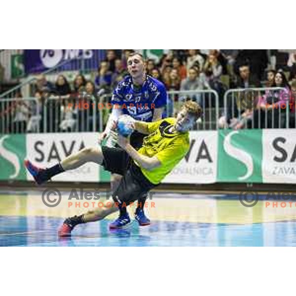 in action during handball match between Maribor Branik and Gorenje Velenje, played in Dvorana Tabor, Maribor, Slovenia on February 9, 2019