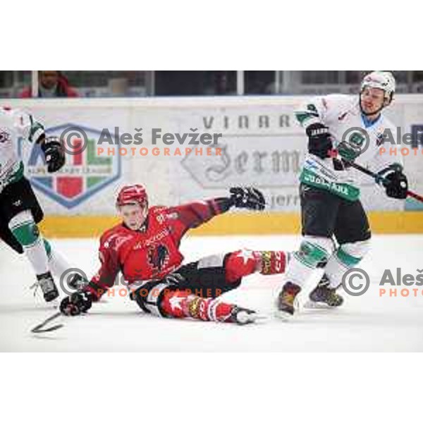 action during Alps League ice-hockey match between Acroni Jesenice and SZ Olimpija in Podmezakla Hall, Jesenice, Slovenia on February 12, 2019