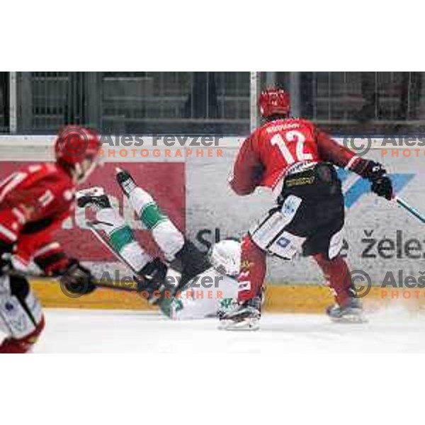action during Alps League ice-hockey match between Acroni Jesenice and SZ Olimpija in Podmezakla Hall, Jesenice, Slovenia on February 12, 2019