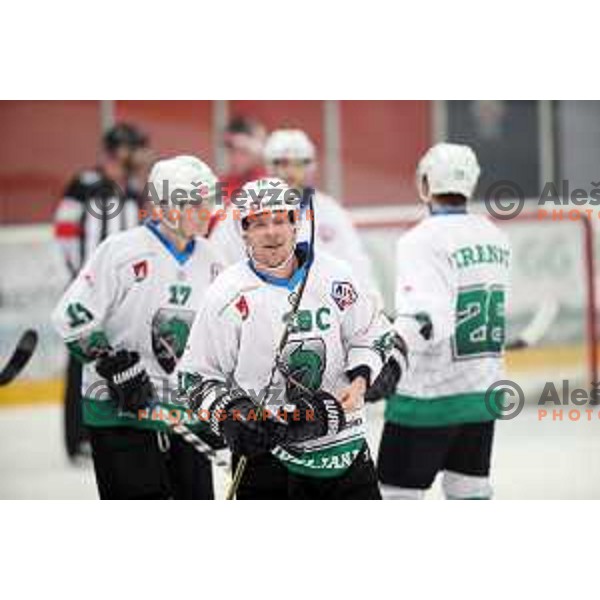action during Alps League ice-hockey match between Acroni Jesenice and SZ Olimpija in Podmezakla Hall, Jesenice, Slovenia on February 12, 2019
