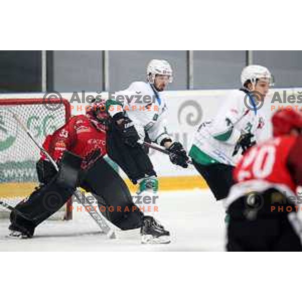 action during Alps League ice-hockey match between Acroni Jesenice and SZ Olimpija in Podmezakla Hall, Jesenice, Slovenia on February 12, 2019