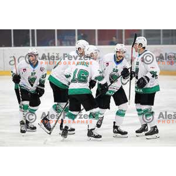 Gal Koren in action during Alps League ice-hockey match between Acroni Jesenice and SZ Olimpija in Podmezakla Hall, Jesenice, Slovenia on February 12, 2019