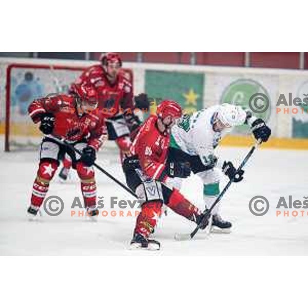 action during Alps League ice-hockey match between Acroni Jesenice and SZ Olimpija in Podmezakla Hall, Jesenice, Slovenia on February 12, 2019