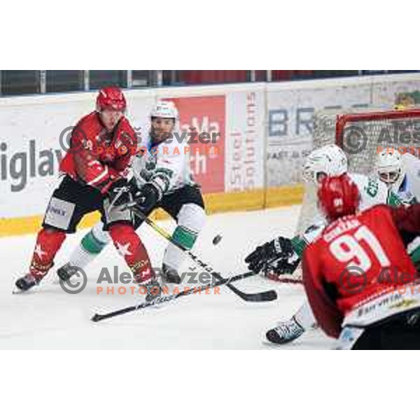 Luka Basic in action during Alps League ice-hockey match between Acroni Jesenice and SZ Olimpija in Podmezakla Hall, Jesenice, Slovenia on February 12, 2019