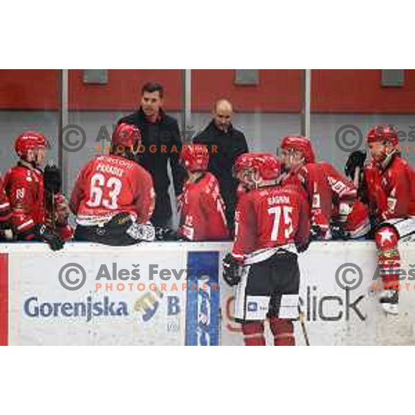 action during Alps League ice-hockey match between Acroni Jesenice and SZ Olimpija in Podmezakla Hall, Jesenice, Slovenia on February 12, 2019
