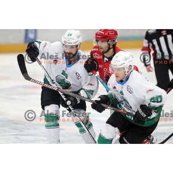 action during Alps League ice-hockey match between Acroni Jesenice and SZ Olimpija in Podmezakla Hall, Jesenice, Slovenia on February 12, 2019
