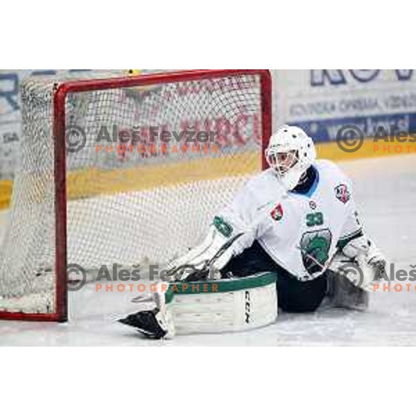 Zan Us in action during Alps League ice-hockey match between Acroni Jesenice and SZ Olimpija in Podmezakla Hall, Jesenice, Slovenia on February 12, 2019
