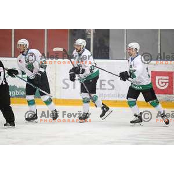 action during Alps League ice-hockey match between Acroni Jesenice and SZ Olimpija in Podmezakla Hall, Jesenice, Slovenia on February 12, 2019