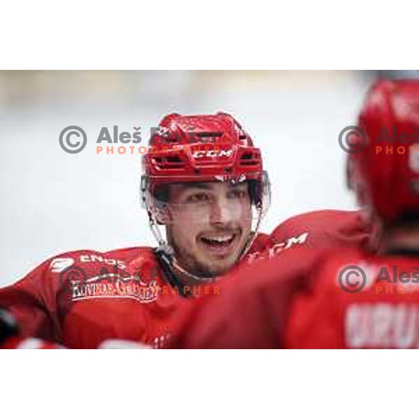 action during Alps League ice-hockey match between Acroni Jesenice and SZ Olimpija in Podmezakla Hall, Jesenice, Slovenia on February 12, 2019