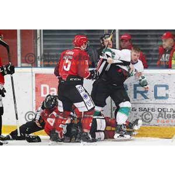 Ales Music in action during Alps League ice-hockey match between Acroni Jesenice and SZ Olimpija in Podmezakla Hall, Jesenice, Slovenia on February 12, 2019