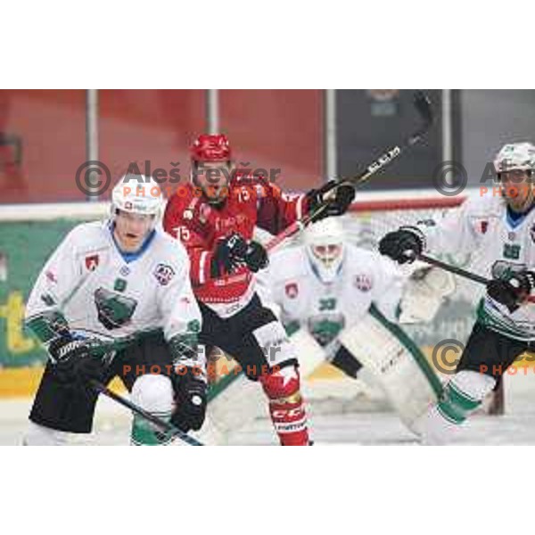 action during Alps League ice-hockey match between Acroni Jesenice and SZ Olimpija in Podmezakla Hall, Jesenice, Slovenia on February 12, 2019