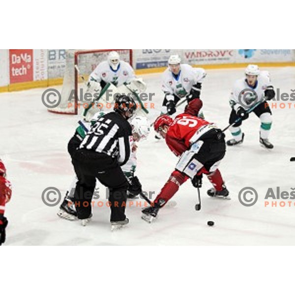 action during Alps League ice-hockey match between Acroni Jesenice and SZ Olimpija in Podmezakla Hall, Jesenice, Slovenia on February 12, 2019