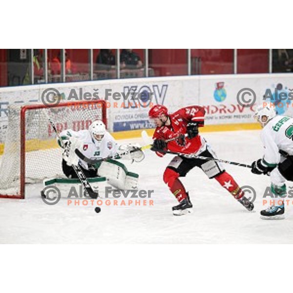 Luka Basic in action during Alps League ice-hockey match between Acroni Jesenice and SZ Olimpija in Podmezakla Hall, Jesenice, Slovenia on February 12, 2019