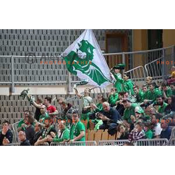 action during semi-final of Spar Cup between Sixt Primorska and Petrol Olimpija in Bonifika Hall, Koper, Slovenia on February 16, 2019