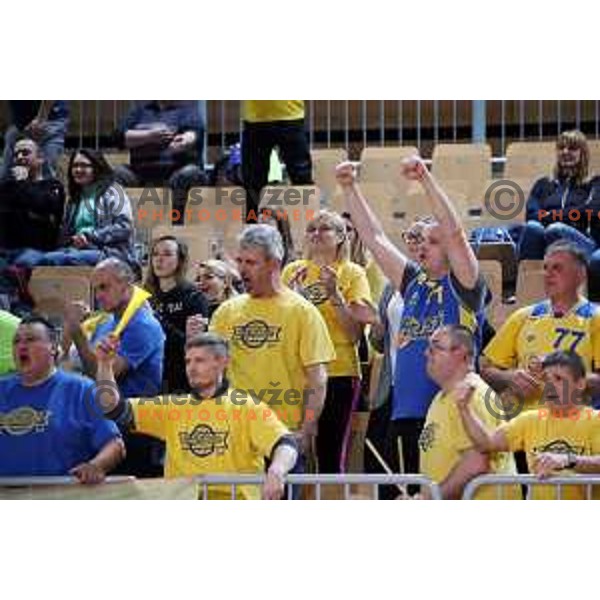action during semi-final of Spar Cup between Hopsi Polzela and Helios Suns in Bonifika Hall, Koper, Slovenia on February 16, 2019