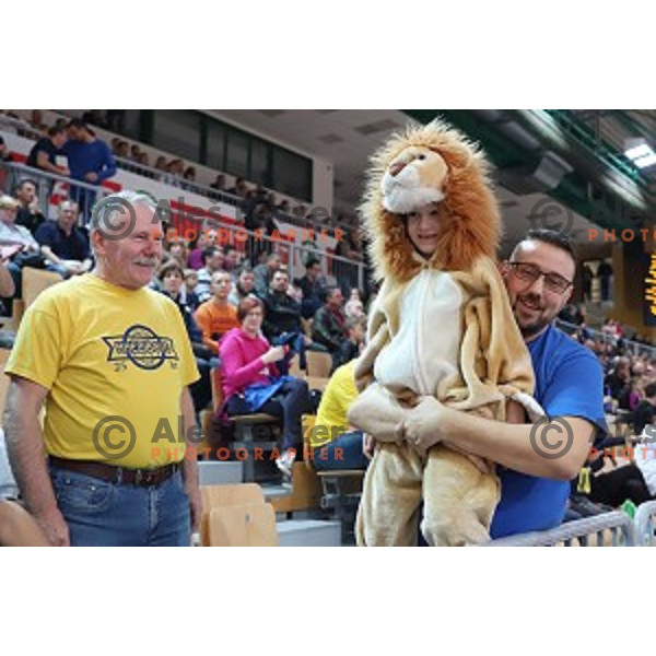 action during Spar Cup Final basketball match between Sixt Primorska and Hopsi Polzela in Bonifika Hall, Koper, Slovenia on February 17, 2019