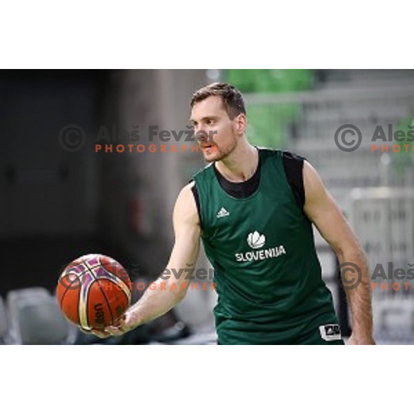 Zoran Dragic at Slovenia National team practice session in Stozice hall, Ljubljana, Slovenia on February 18, 2019