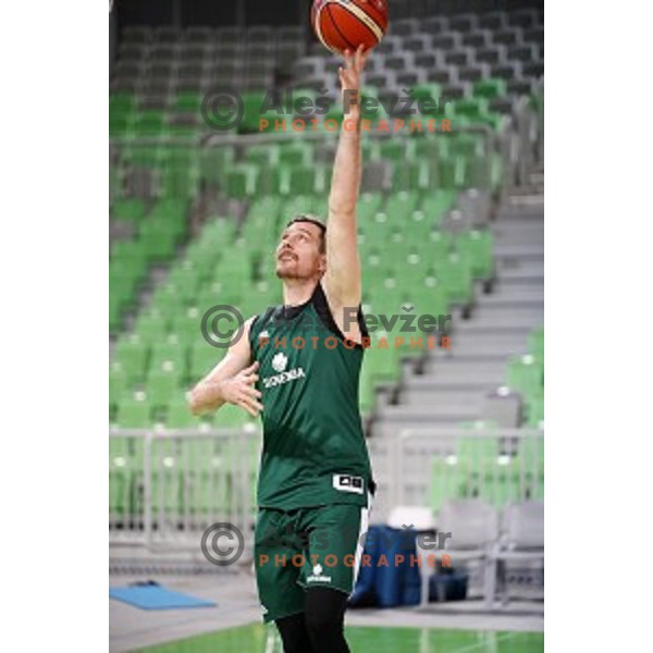 Zoran Dragic at Slovenia National team practice session in Stozice hall, Ljubljana, Slovenia on February 18, 2019
