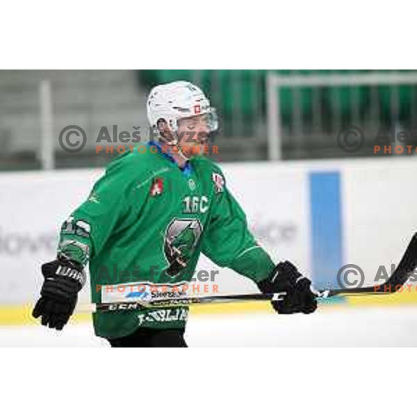 Ales Music of SZ Olimpija in action during Alps League ice-hockey match between SZ Olimpija and Lustenau in Tivoli Hall, Ljubljana, Slovenia on February 22, 2019