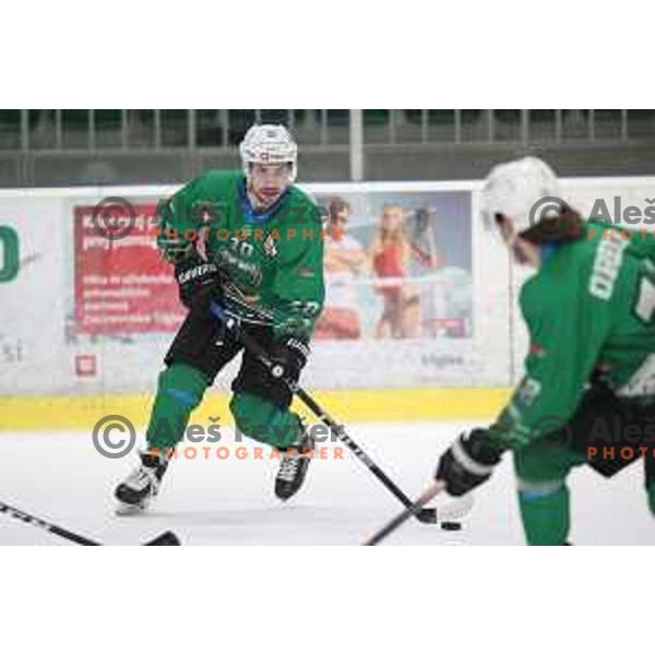 Nik Simsic of SZ Olimpija in action during Alps League ice-hockey match between SZ Olimpija and Lustenau in Tivoli Hall, Ljubljana, Slovenia on February 22, 2019